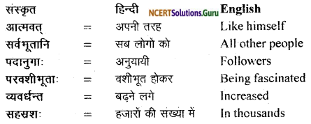 NCERT Solutions for Class 11 Sanskrit Bhaswati Chapter 7 भव्यः सत्याग्रहाश्रमः 19