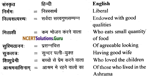 NCERT Solutions for Class 11 Sanskrit Bhaswati Chapter 7 भव्यः सत्याग्रहाश्रमः 5