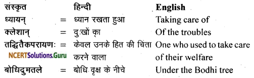 NCERT Solutions for Class 11 Sanskrit Bhaswati Chapter 7 भव्यः सत्याग्रहाश्रमः 6