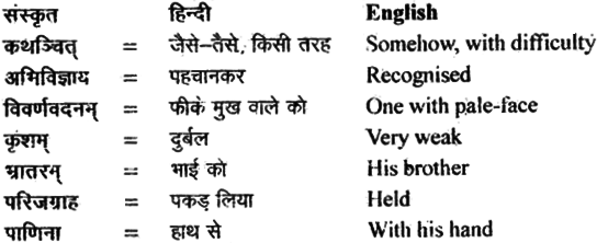 NCERT Solutions for Class 11 Sanskrit Shemushi Chapter 1 कुशलप्रशासनम् 2