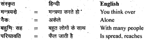 NCERT Solutions for Class 11 Sanskrit Shemushi Chapter 1 कुशलप्रशासनम् 8