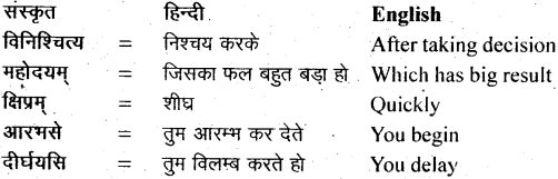 NCERT Solutions for Class 11 Sanskrit Shemushi Chapter 1 कुशलप्रशासनम् 9