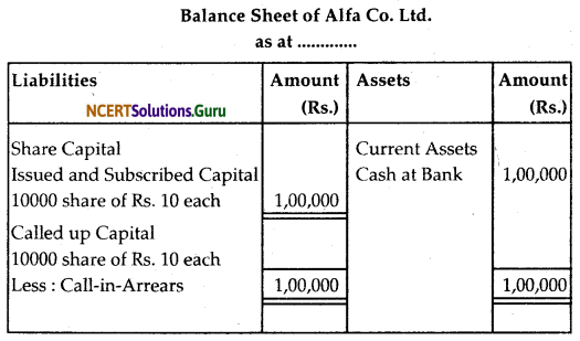 NCERT Solutions for Class 12 Accountancy Chapter 6 Accounting for Share Capital 14