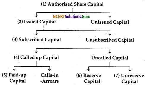 NCERT Solutions for Class 12 Accountancy Chapter 6 Accounting for Share Capital 27