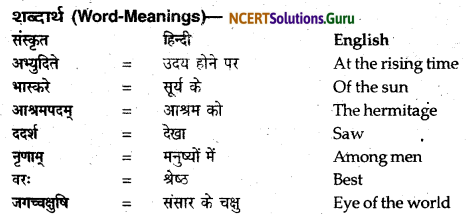 NCERT Solutions for Class 12 Sanskrit Bhaswati Chapter 2 न त्वं शोचितुमर्हसि 1