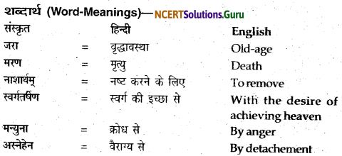 NCERT Solutions for Class 12 Sanskrit Bhaswati Chapter 2 न त्वं शोचितुमर्हसि 10