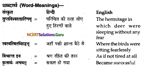 NCERT Solutions for Class 12 Sanskrit Bhaswati Chapter 2 न त्वं शोचितुमर्हसि 2