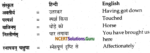 NCERT Solutions for Class 12 Sanskrit Bhaswati Chapter 2 न त्वं शोचितुमर्हसि 4