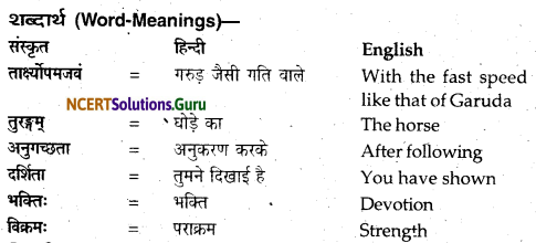 NCERT Solutions for Class 12 Sanskrit Bhaswati Chapter 2 न त्वं शोचितुमर्हसि 5