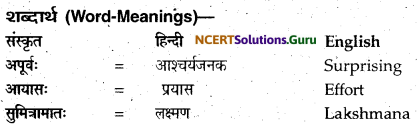 NCERT Solutions for Class 12 Sanskrit Bhaswati Chapter 3 मातुराञा गरीयसी 17