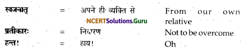 NCERT Solutions for Class 12 Sanskrit Bhaswati Chapter 3 मातुराञा गरीयसी 2