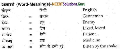 NCERT Solutions for Class 12 Sanskrit Bhaswati Chapter 4 प्रजानुरज्जको नृपः 13