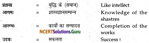 NCERT Solutions for Class 12 Sanskrit Bhaswati Chapter 4 प्रजानुरज्जको नृपः 9