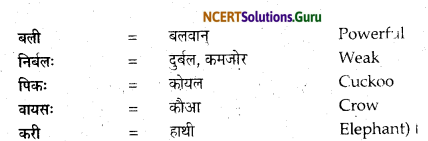 NCERT Solutions for Class 12 Sanskrit Bhaswati Chapter 6 सूक्ति-सौरभम् 13