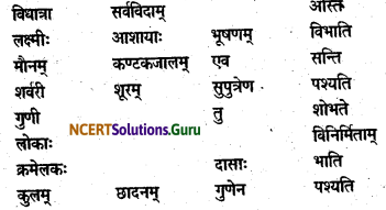NCERT Solutions for Class 12 Sanskrit Bhaswati Chapter 6 सूक्ति-सौरभम् 17