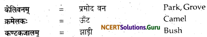 NCERT Solutions for Class 12 Sanskrit Bhaswati Chapter 6 सूक्ति-सौरभम् 6