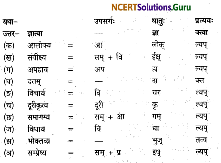 NCERT Solutions for Class 12 Sanskrit Bhaswati Chapter 7 नैकेनापि समं गता वसुमती 14