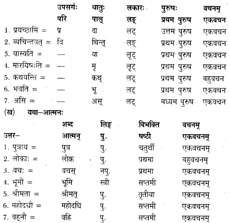 NCERT Solutions for Class 12 Sanskrit Bhaswati Chapter 7 नैकेनापि समं गता वसुमती 15