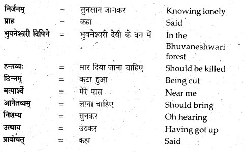 NCERT Solutions for Class 12 Sanskrit Bhaswati Chapter 7 नैकेनापि समं गता वसुमती 6