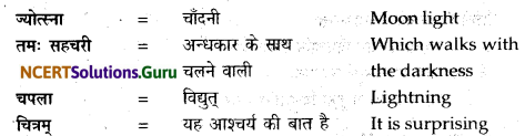 NCERT Solutions for Class 12 Sanskrit Bhaswati Chapter 8 हल्दीघाटी 10