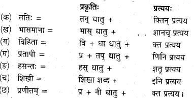 NCERT Solutions for Class 12 Sanskrit Bhaswati Chapter 8 हल्दीघाटी 14