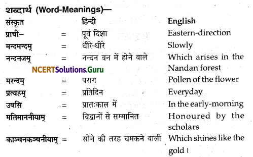 NCERT Solutions for Class 12 Sanskrit Bhaswati Chapter 8 हल्दीघाटी 3