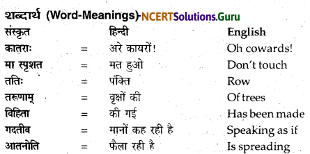 NCERT Solutions for Class 12 Sanskrit Bhaswati Chapter 8 हल्दीघाटी 4