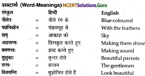 NCERT Solutions for Class 12 Sanskrit Bhaswati Chapter 8 हल्दीघाटी 8