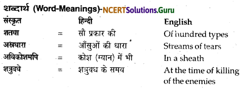 NCERT Solutions for Class 12 Sanskrit Bhaswati Chapter 8 हल्दीघाटी 9