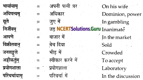 NCERT Solutions for Class 12 Sanskrit Bhaswati Chapter 9 मदालसा 5