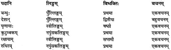 NCERT Solutions for Class 7 Sanskrit Chapter 10 विश्वबंधुत्वम् 2