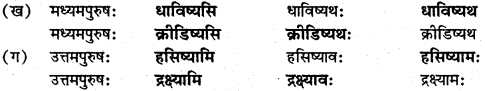 NCERT Solutions for Class 7 Sanskrit Chapter 11 समवायो हि दुर्जयः 2