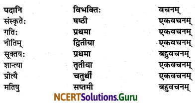 NCERT Solutions for Class 7 Sanskrit Chapter 13 अमृतं संस्कृतम् 4