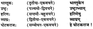 NCERT Solutions for Class 7 Sanskrit Chapter 15 लालनगीतम् 11