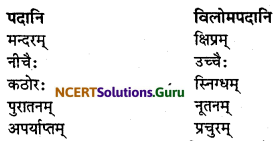 NCERT Solutions for Class 7 Sanskrit Chapter 15 लालनगीतम् 5