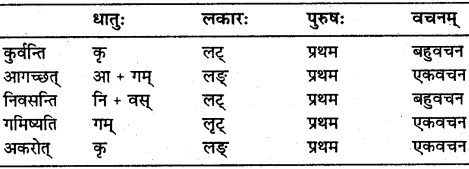 NCERT Solutions for Class 7 Sanskrit Chapter 5 पण्डिता रमाबाई 4