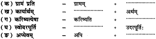 NCERT Solutions for Class 7 Sanskrit Chapter 9 अहमपि विद्यालयं गमिष्यामि 2