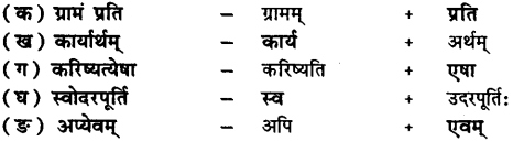NCERT Solutions for Class 7 Sanskrit Chapter 9 अहमपि विद्यालयं गमिष्यामि 3