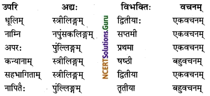 NCERT Solutions for Class 8 Sanskrit Chapter 11 सावित्री बाई फुले Q7.1