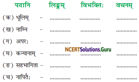 NCERT Solutions for Class 8 Sanskrit Chapter 11 सावित्री बाई फुले Q7