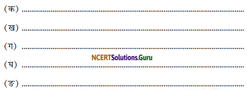 NCERT Solutions for Class 8 Sanskrit Chapter 13 क्षितौ राजते भारतस्वर्णभूमिः Q7.1