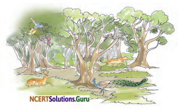 NCERT Solutions for Class 8 Sanskrit Chapter 13 क्षितौ राजते भारतस्वर्णभूमिः Q7
