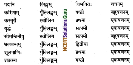 NCERT Solutions for Class 8 Sanskrit Chapter 15 प्रहेलिकाः Q5.2