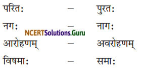NCERT Solutions for Class 8 Sanskrit Chapter 4 सदैव पुरतो निधेहि चरणम् Q4.2