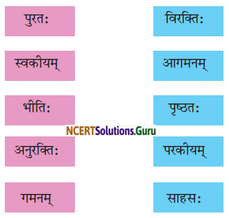 NCERT Solutions for Class 8 Sanskrit Chapter 4 सदैव पुरतो निधेहि चरणम् Q6