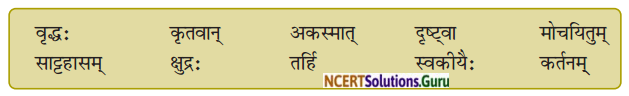 NCERT Solutions for Class 8 Sanskrit Chapter 5 कण्टकेनैव कण्टकम् Q5