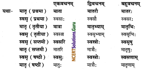 NCERT Solutions for Class 8 Sanskrit Chapter 5 कण्टकेनैव कण्टकम् Q7.1