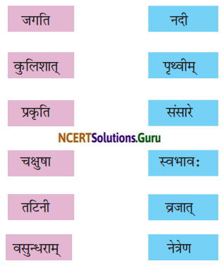 NCERT Solutions for Class 8 Sanskrit Chapter 7 भारतजनताऽहम् Q6