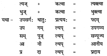 NCERT Solutions for Class 8 Sanskrit Chapter 8 संसारसागरस्य नायकाः Q6.2