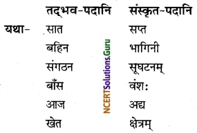 NCERT Solutions for Class 8 Sanskrit Chapter 9 सप्तभगिन्यः Q6.2